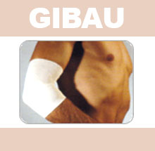 GIBAU022