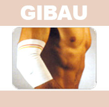 GIBAU031