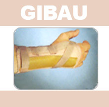 GIBAU093