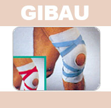 GIBAU116