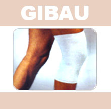 GIBAU137