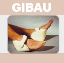 GIBAU166