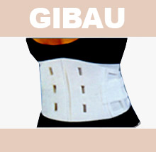 GIBAU219