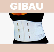 GIBAU221